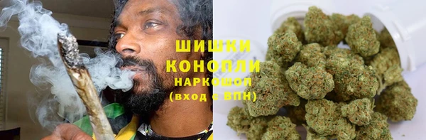 PSILOCYBIN Козловка