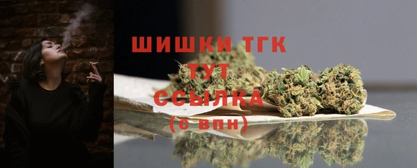 ПСИЛОЦИБИНОВЫЕ ГРИБЫ Киренск