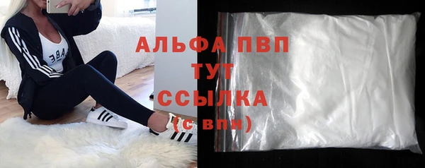 индика Ладушкин