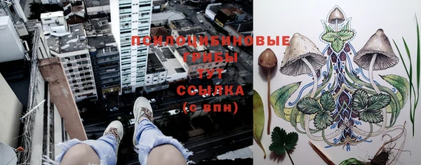 ПСИЛОЦИБИНОВЫЕ ГРИБЫ Киренск
