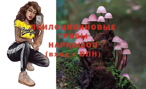 PSILOCYBIN Козловка