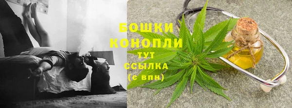 ПСИЛОЦИБИНОВЫЕ ГРИБЫ Киренск