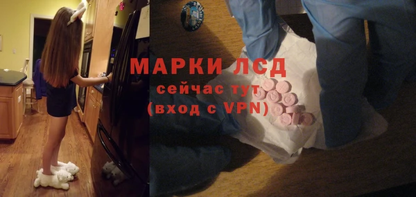PSILOCYBIN Козловка