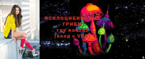 ПСИЛОЦИБИНОВЫЕ ГРИБЫ Киренск