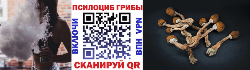 сайты даркнета Telegram купить наркоту OMG как зайти Чулым Галлюциногенные грибы Magic Shrooms